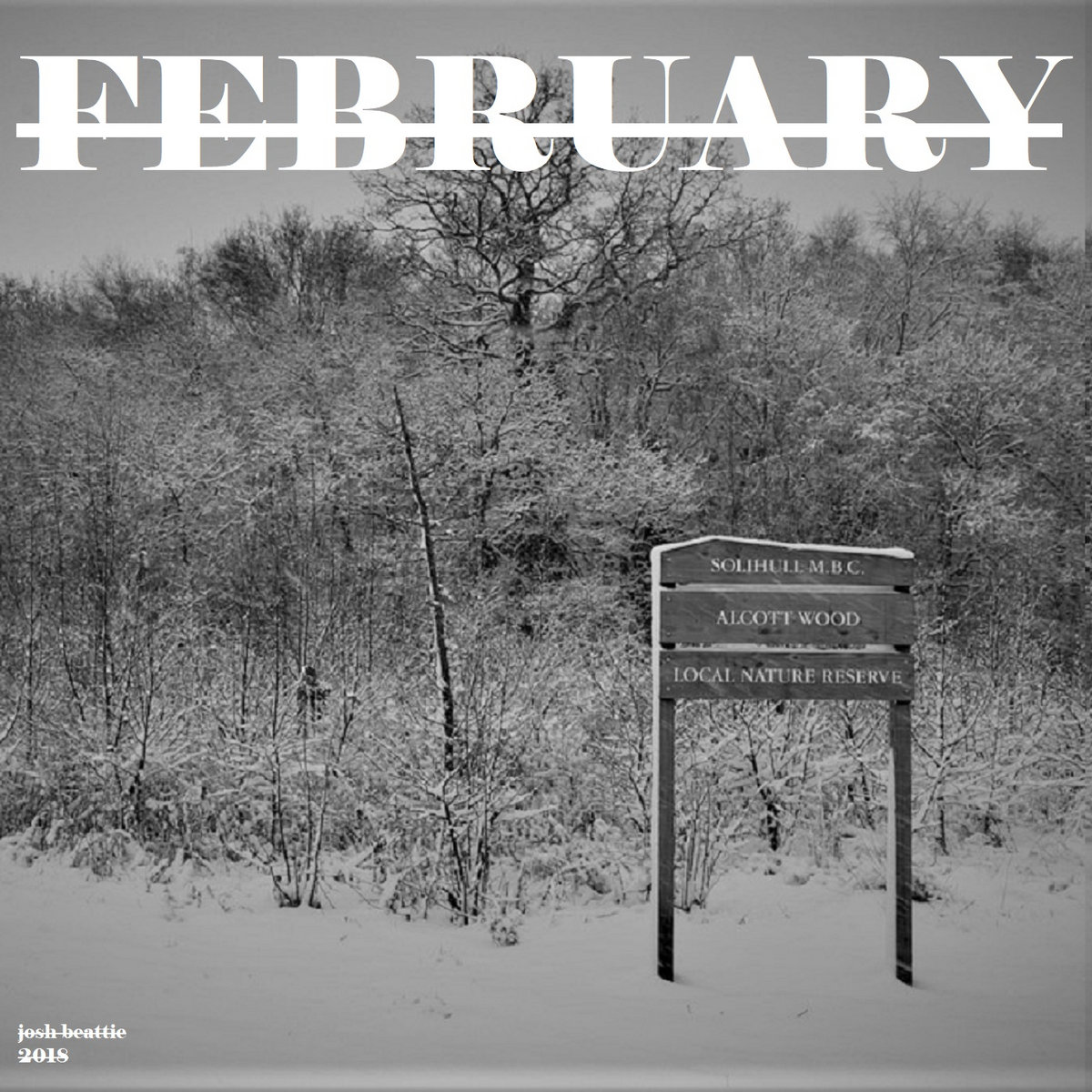 Radiohead Fake Plastic Trees Lyrics Genius Lyrics