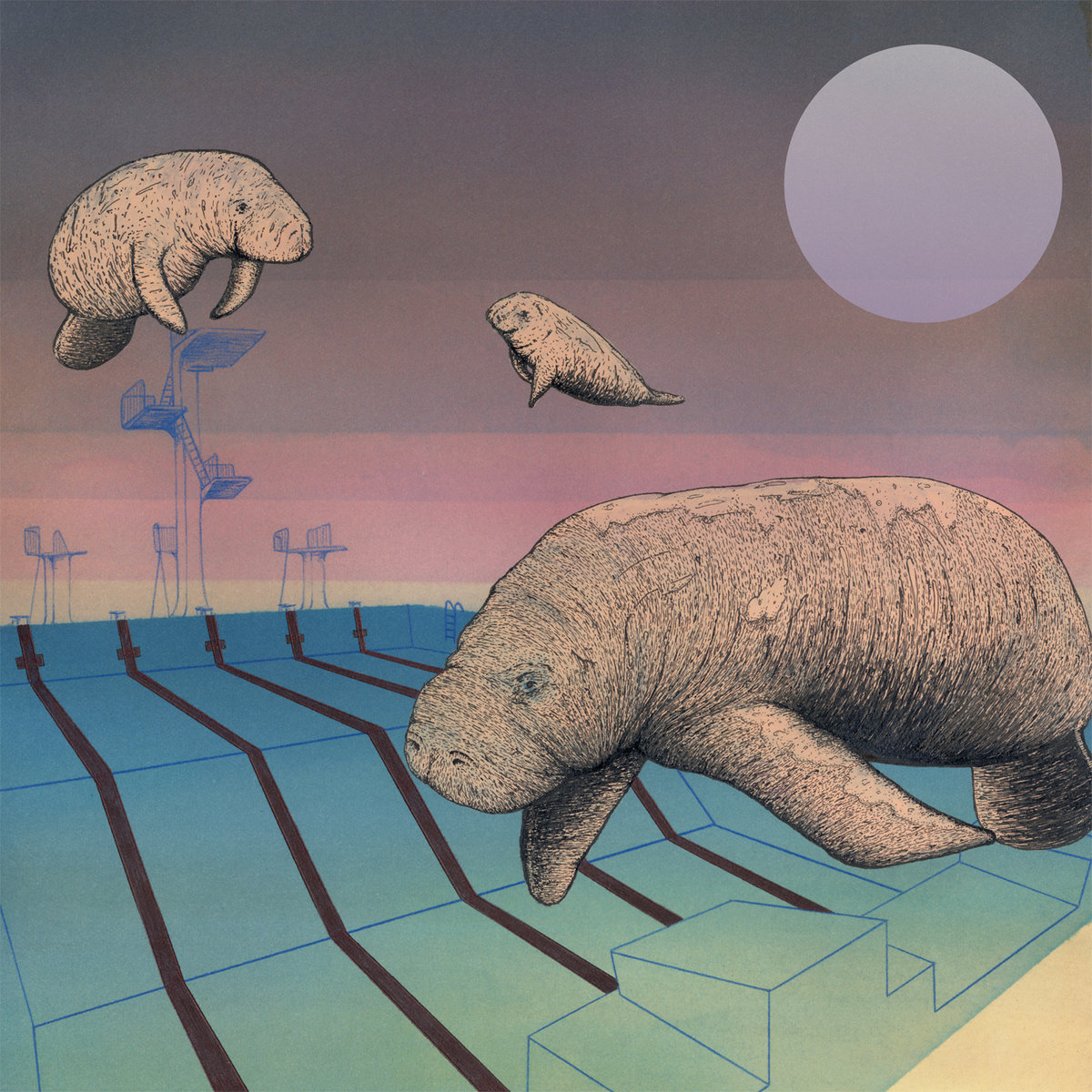 Vogelgrun A La Piscine Sirenia Meeting Annuel Du Cercle Nautique