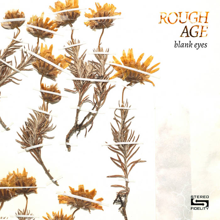 Rough Age Blank Eyes cover artwork
