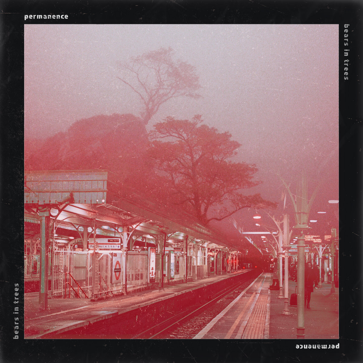 Amazon Com Egotou Brown Bears Family Trees Art Print On Canvas Posters 24x36 Inch Posters Prints