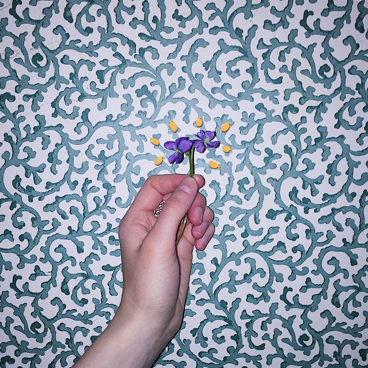 I never thought saya tidak pernah menyangka. Lirik Lagu You Are Not Alone Dan Artinya - Kumpulan Not Lagu