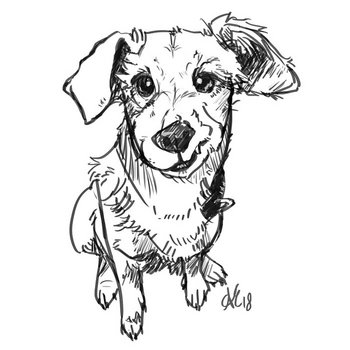 Gracie