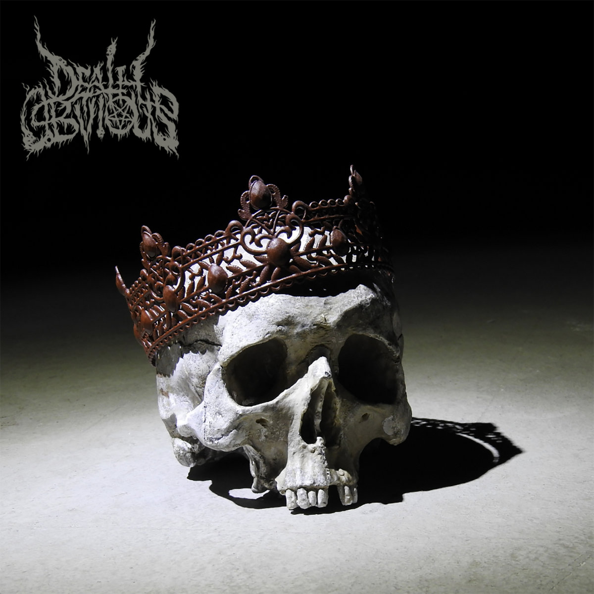 DEATH OBVIOUS - Self-Titled Album Zipped Hoodie - TRANSCENDING