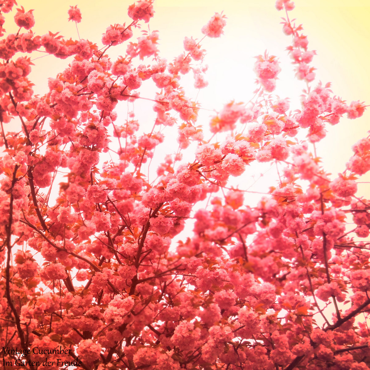 Vintage Hochzeit Im Garten Hochzeitsinspiration Fur Den Fruhling