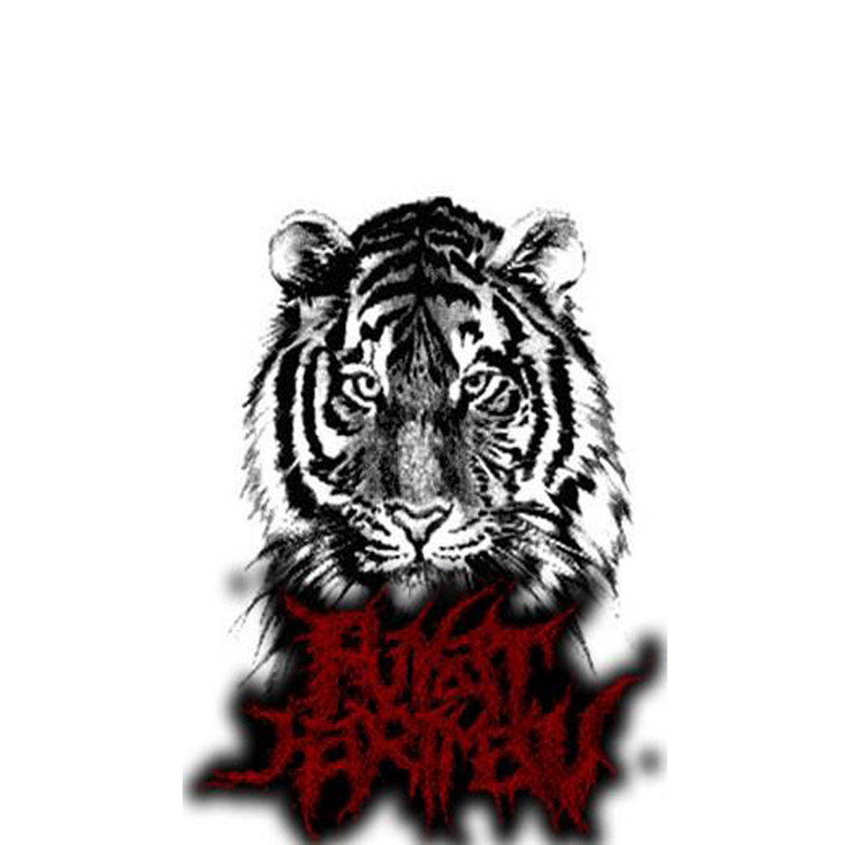 Dapatkan Gambar Harimau Malaya Binatang Buas Binatang Harimau Terupdate by Lampunghits.com