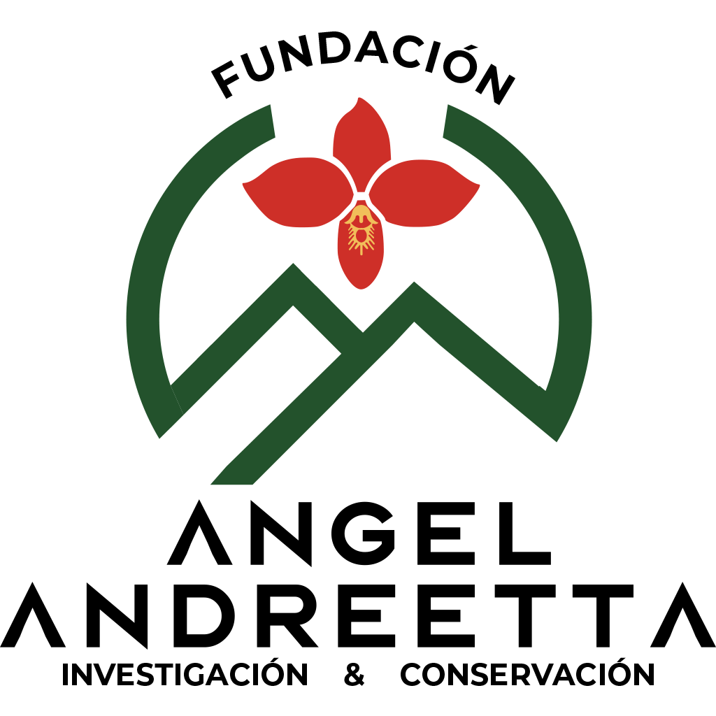 FUNDACION ANGEL ANDREETTA