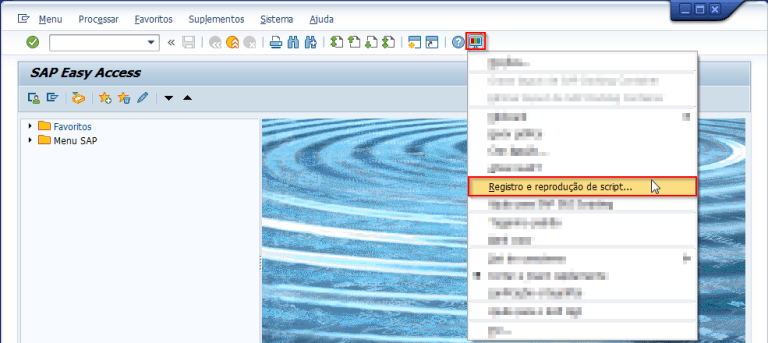 Sap Script & VBA – Introdução - Fabio Mitsueda