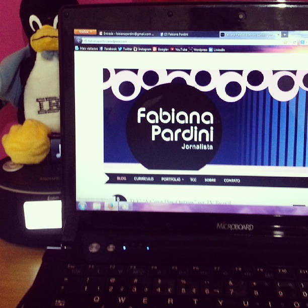 Aproveitando o tempo livre para mexer no Portfolio.