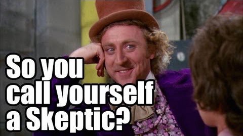 So you call yourself a skeptic?