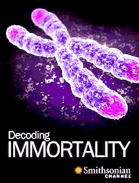 Immortal