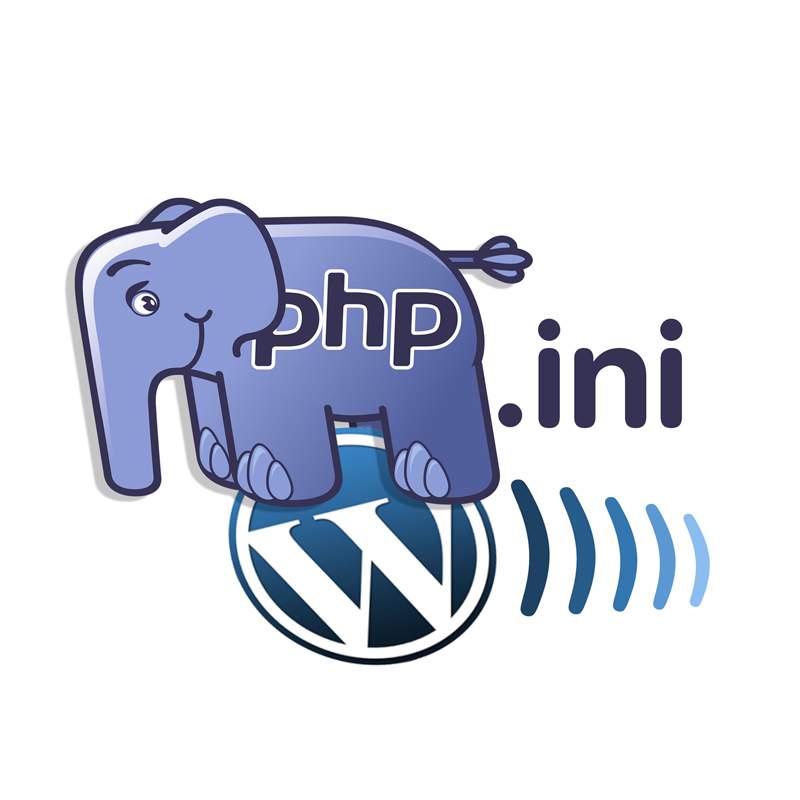 A set of php system compliance settings were provided by elegant themes. Cómo modificar PHP.ini y max_execution_time en Cpanel - WordPress - Fábrica Digital