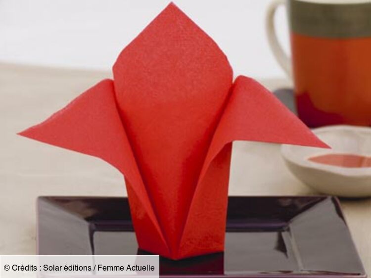 Lorsqu'elle sera bien séchée, les enfants l'ouvrent pour voir les motifs. Pliage De Serviettes L Avion Pliage De Serviettes Toutes Les Etapes Femme Actuelle Le Mag