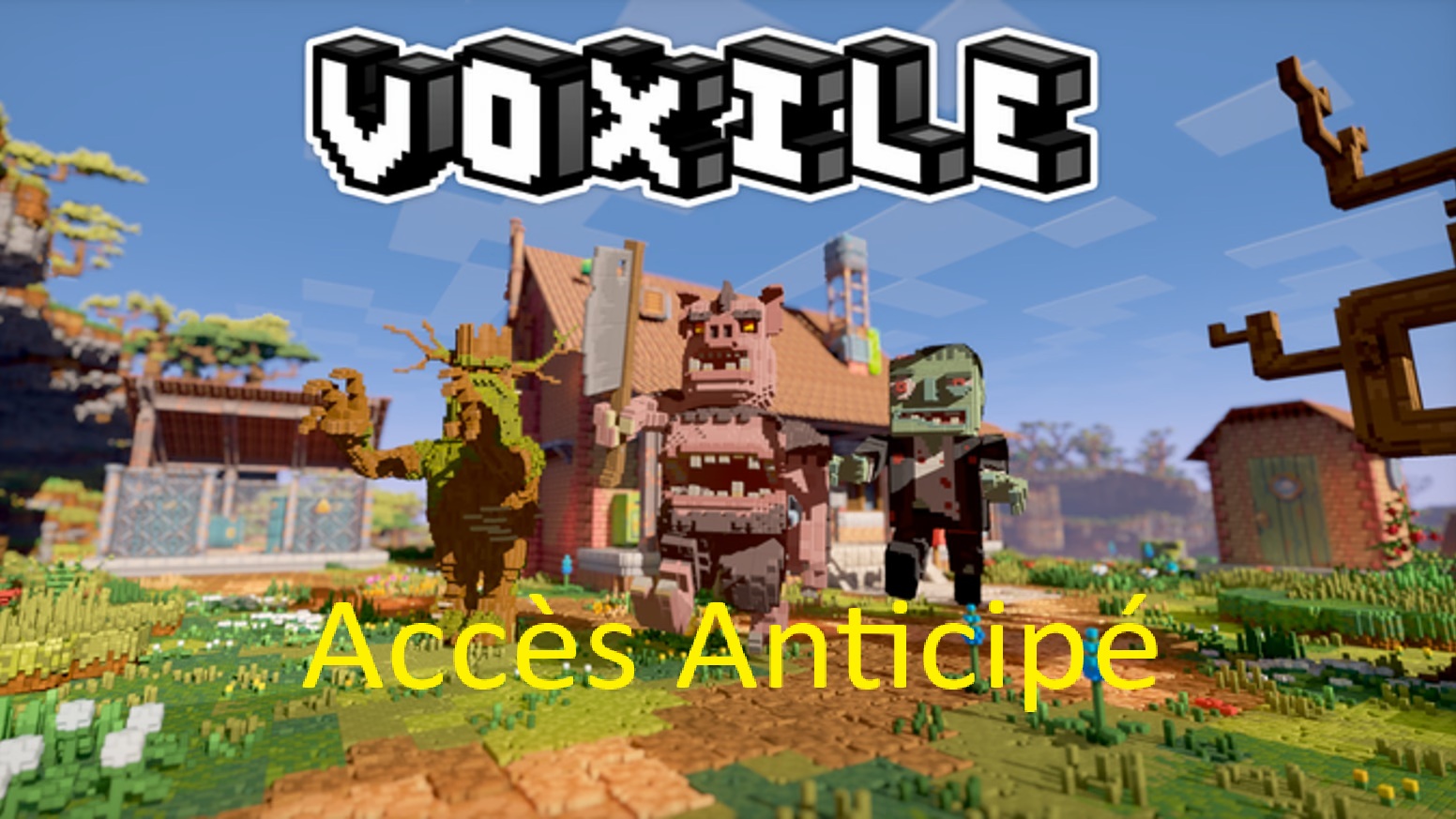 (Test FG) Voxile
