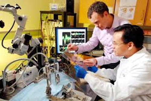 10 Facts About Biomedical Engineering Fact File