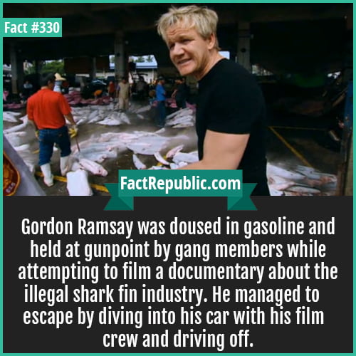 330. Ramsay-Gordon Ramsay was doused in gasoline and held at gunpoint by gang members while attempting to film a documentary about the illegal shark fin industry. He managed to escape by diving into his car with his film crew and driving off.