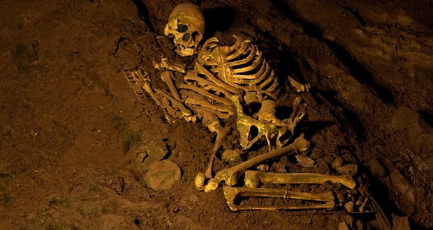 Cheddar man 