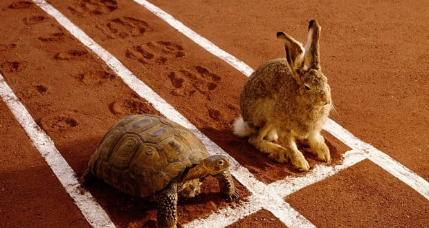 Tortoise and Hare story
