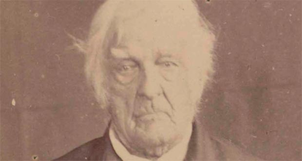 Lumeul Cook
