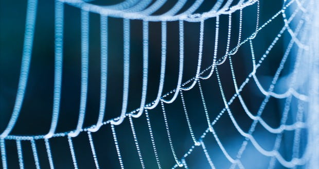Spider silk