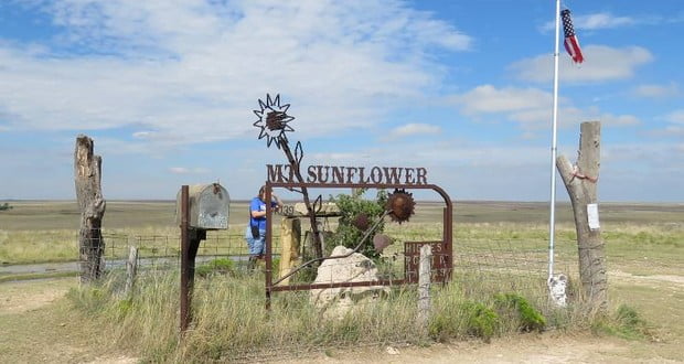 Mount Sunflower