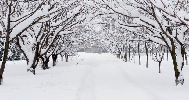 Snow