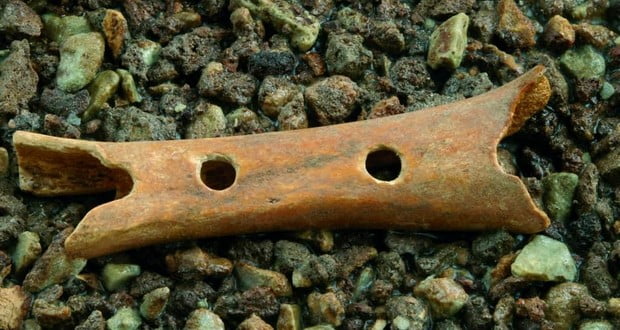 Divje Babe Flute