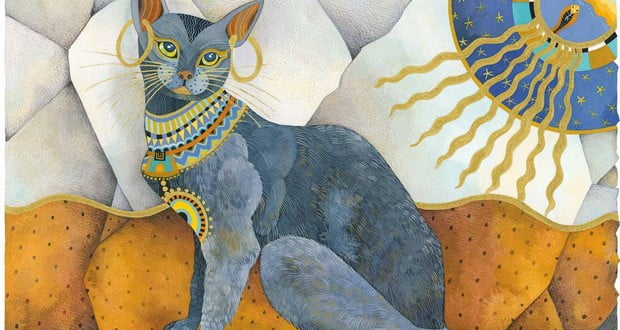 Cats