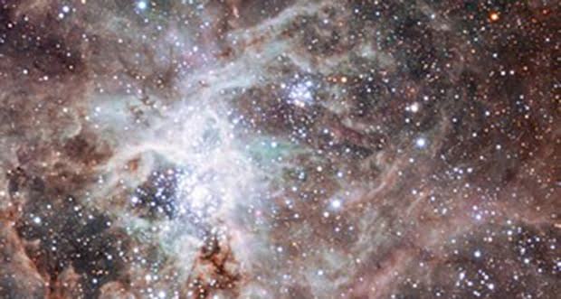 Orion