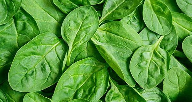 Spinach