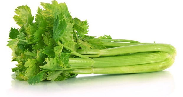 Celery
