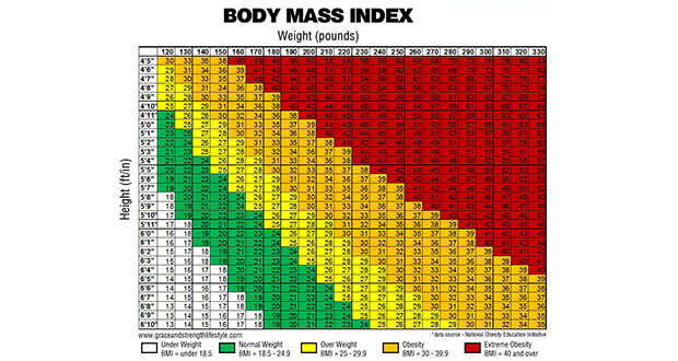 Body Mass Index 