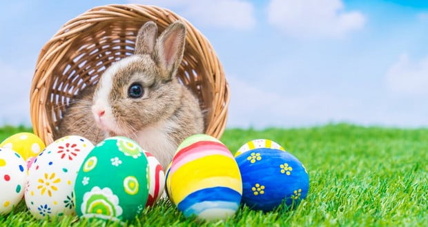 Easter Bunny