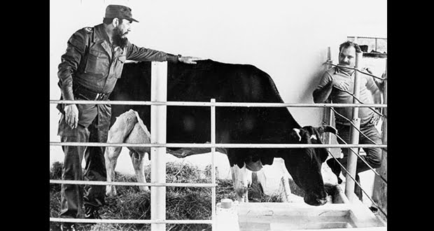 Fidel Castro