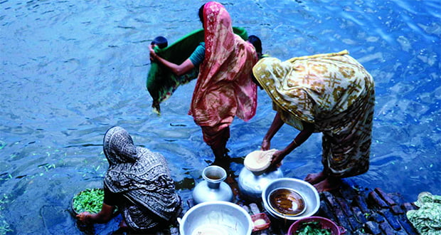 Sari cloth
