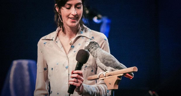 Einstein the Parrot