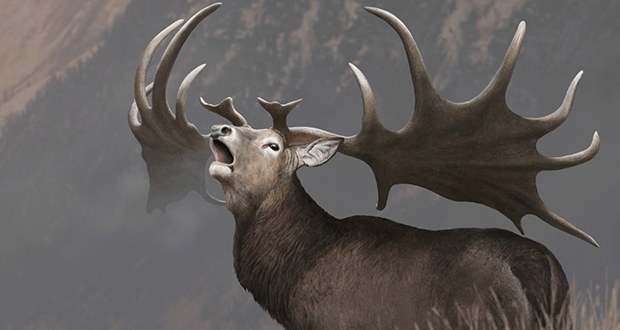 Irish Elk