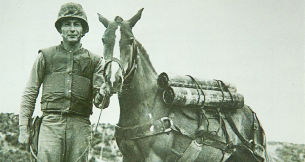 Sergeant Reckless