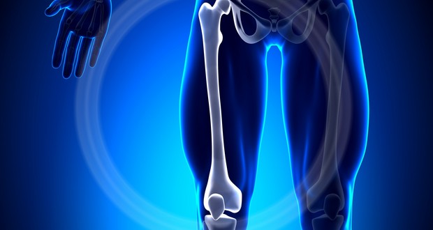 Femur