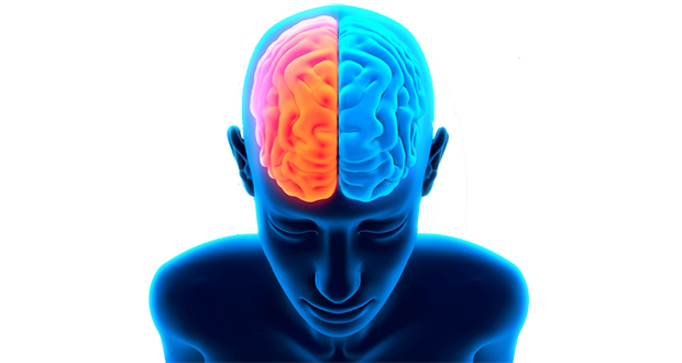 Mental abilities