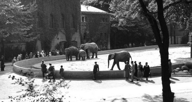 Berlin Zoo