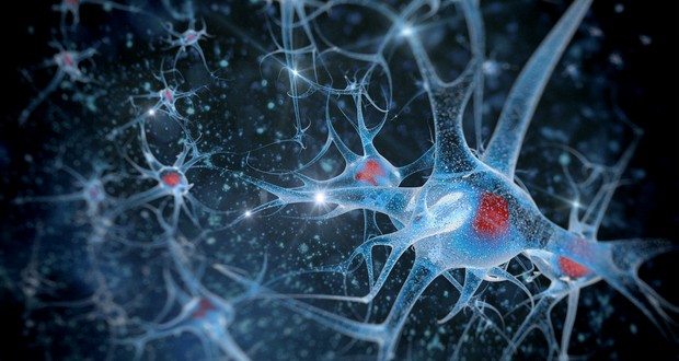 Neuroregeneration