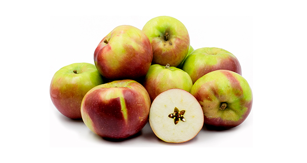 McIntosh Apple