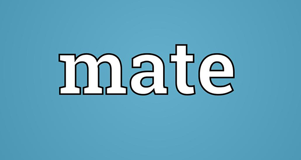 Mate