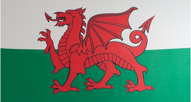 Dragon flags