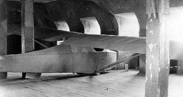 Colditz Cock