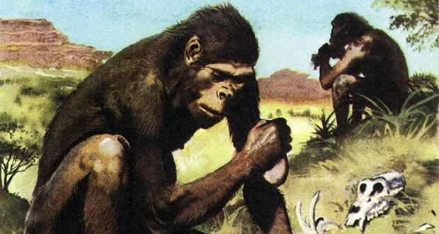Australopithecus