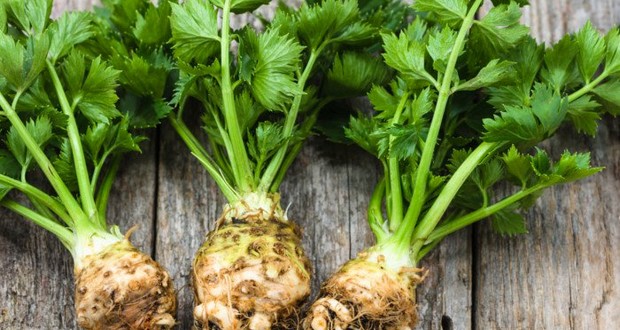 Celery