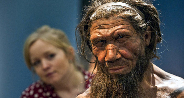 Neanderthal DNA