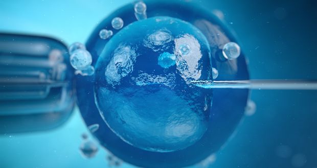 First Artificial Insemination 