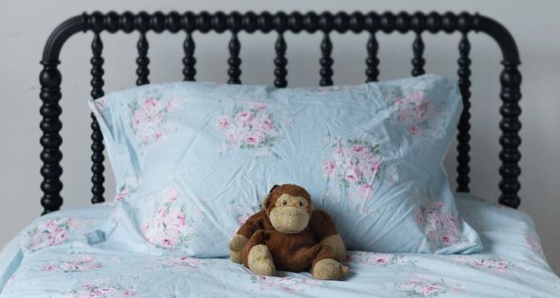 Stuffed Animals